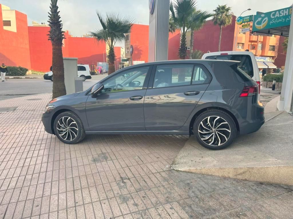 Volkswagen Golf 8 grise de profil, rue avec palmiers